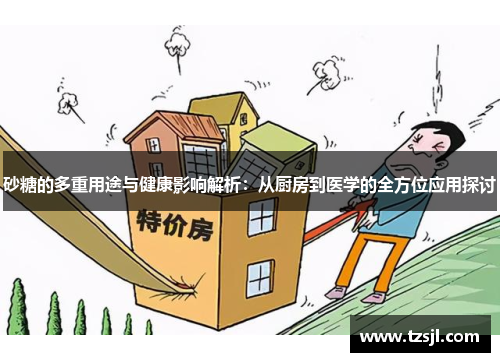 砂糖的多重用途与健康影响解析：从厨房到医学的全方位应用探讨